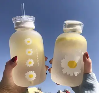 Koos õled klaaspudel loominguline Daisy kirka/läbipaistev cup lekkekindlad kantavate vee pudelid tihendi kate mattklaas  10